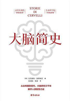 大脑简史