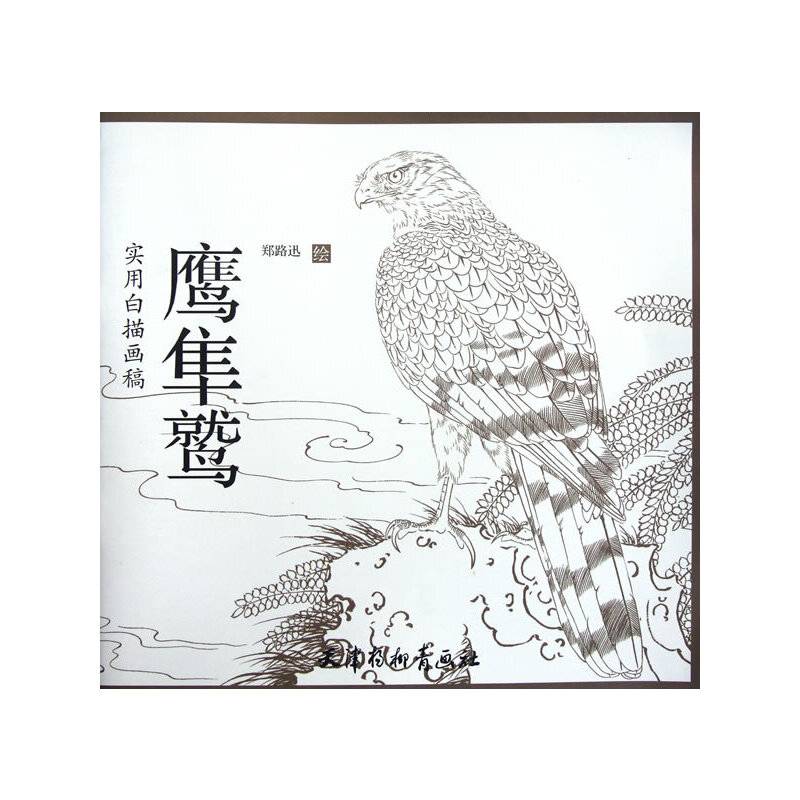 实用白描画稿-鹰隼鹫