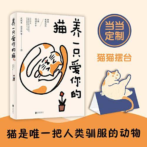 养一只爱你的猫