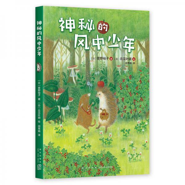 神秘的风中少年