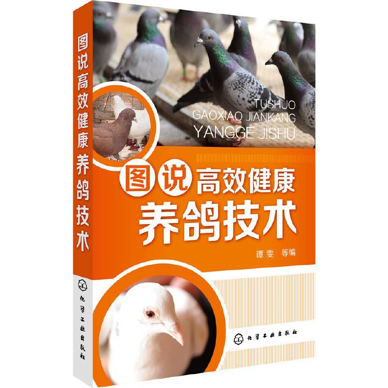 图说高效健康养鸽技术