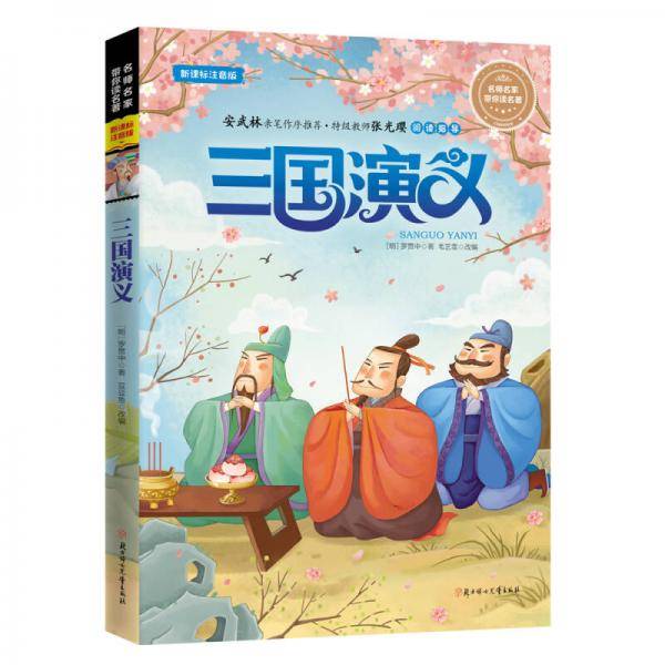 名师名家带你读名著 三国演义