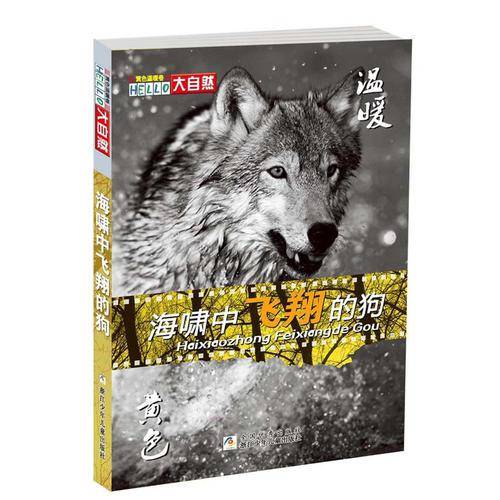 海啸中飞翔的狗（黄色温暖卷）