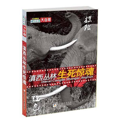 滇西丛林生死惊魂（红色探险卷）