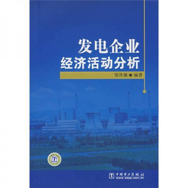 发电企业经济活动分析