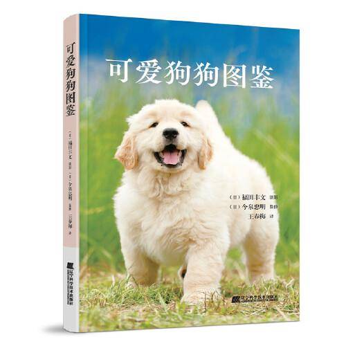 可爱狗狗图鉴