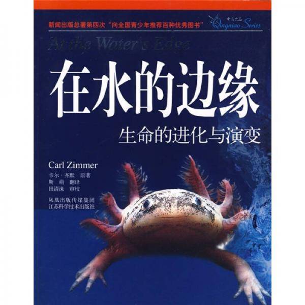 在水的边缘
