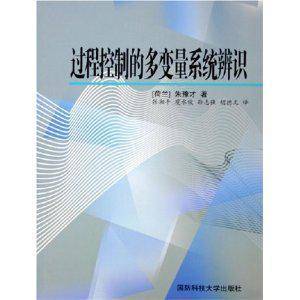 过程控制的多变量系统辨识