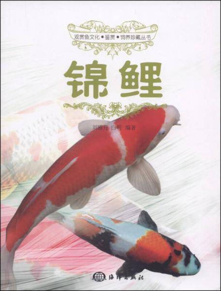 锦鲤