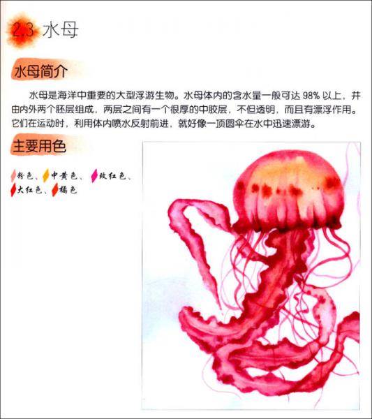 来看海吧！海洋动物水彩手绘教程