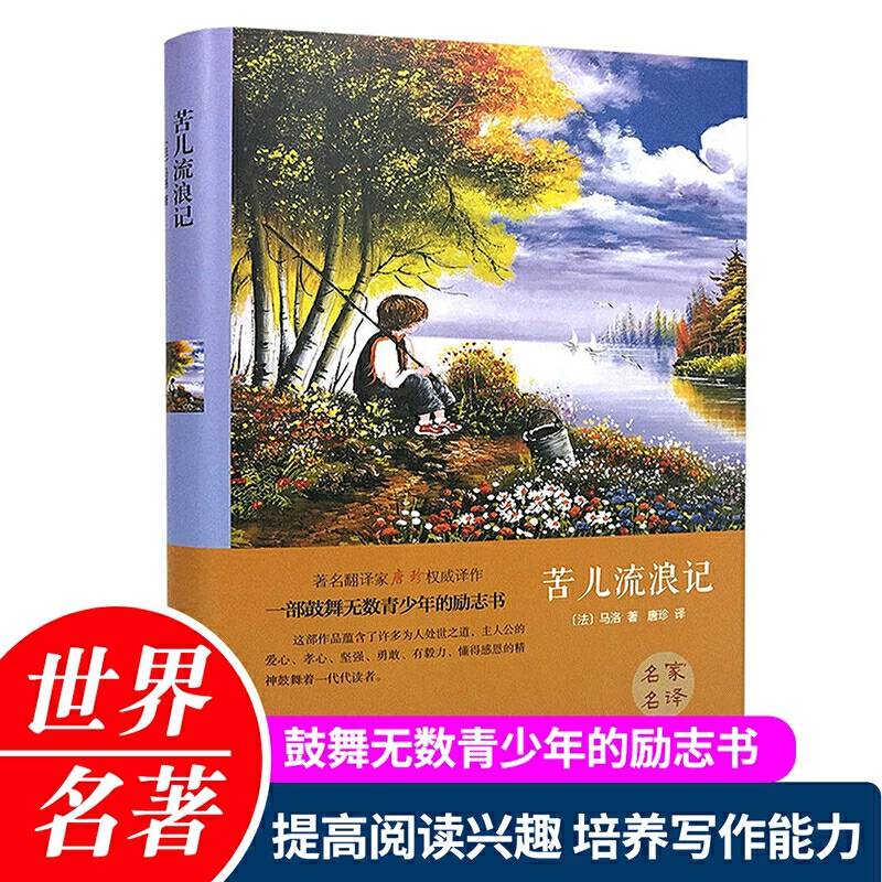 苦儿流浪记