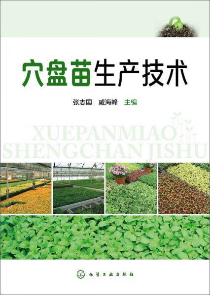 穴盘苗生产技术