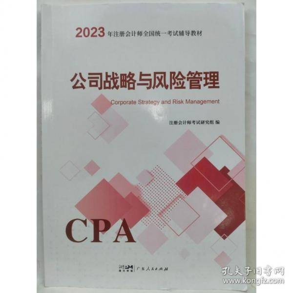 公司战略与风险管理