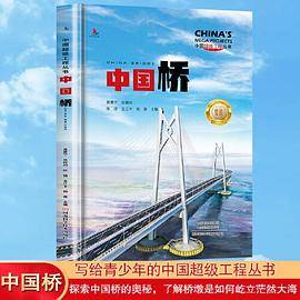 中国桥 中国超级工程丛书系列青少年建筑科普百科知识
