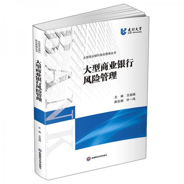 大型商业银行风险管理/王祖继