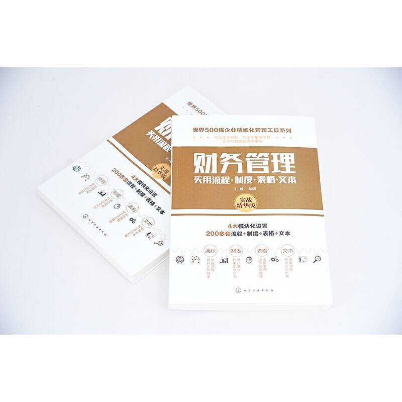 世界500强企业精细化管理工具系列--财务管理实用流程・制度・表格・文本