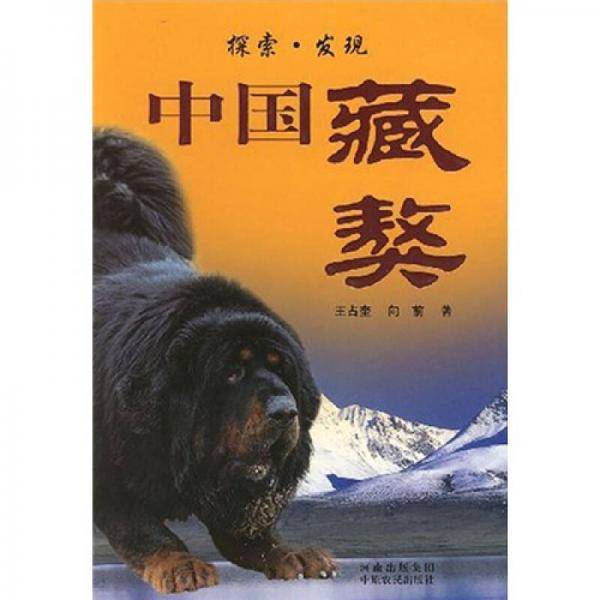 中国藏獒