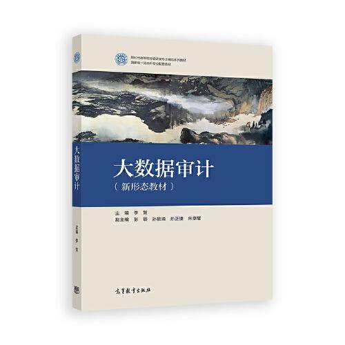 大数据审计
