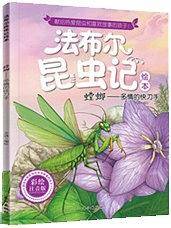 螳螂：多情的快刀手