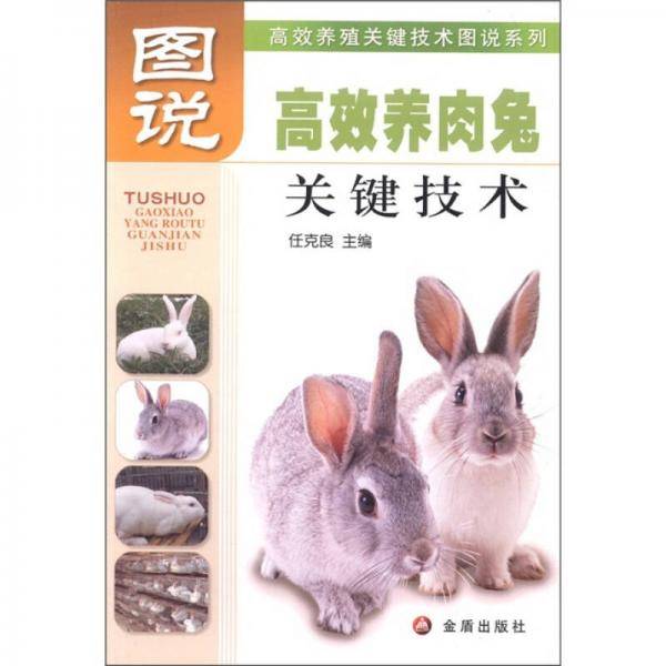 图说高效养肉兔关键技术