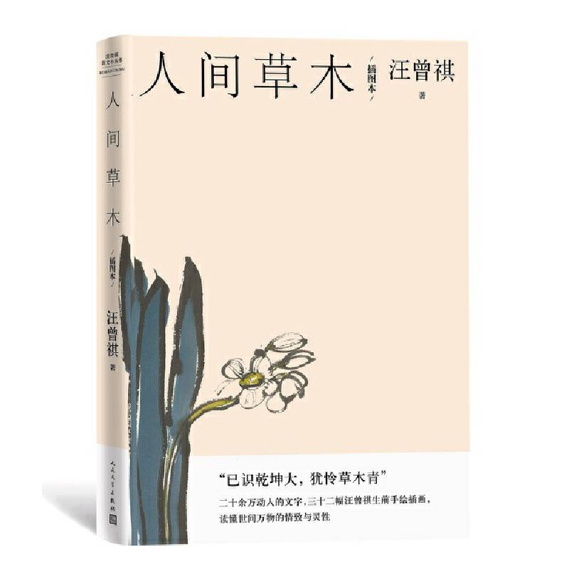 人间草木