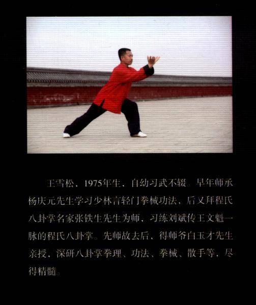 王文魁传程氏八卦掌精要