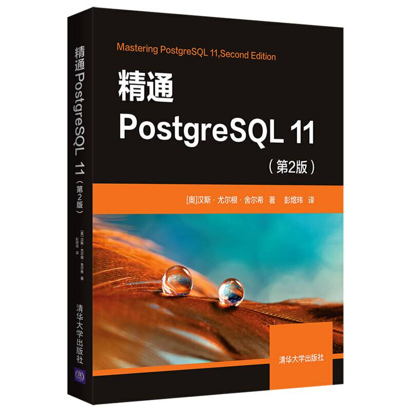 精通PostgreSQL 11