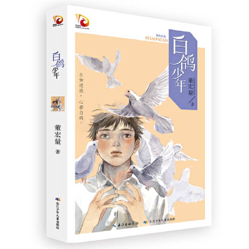 白鸽少年