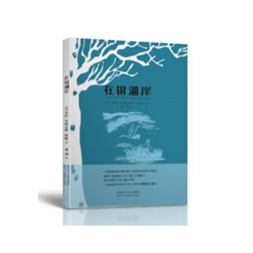 在银湖岸