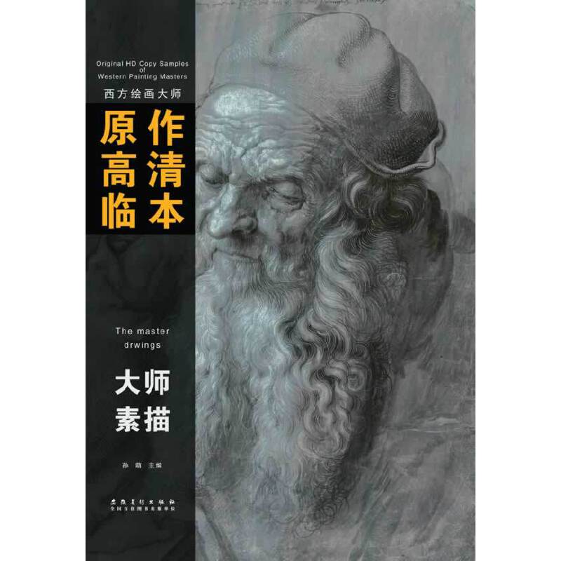 西方绘画大师原作高清临本系列丛书 大师素描