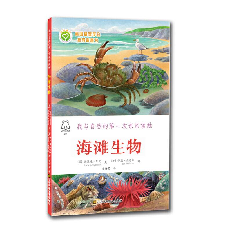 我与自然的第一次亲密接触-海滩生物