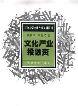 文化产业投融资
