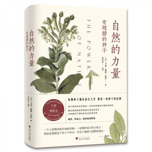 自然的力量