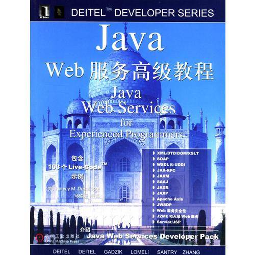 Java Web服务高级教程