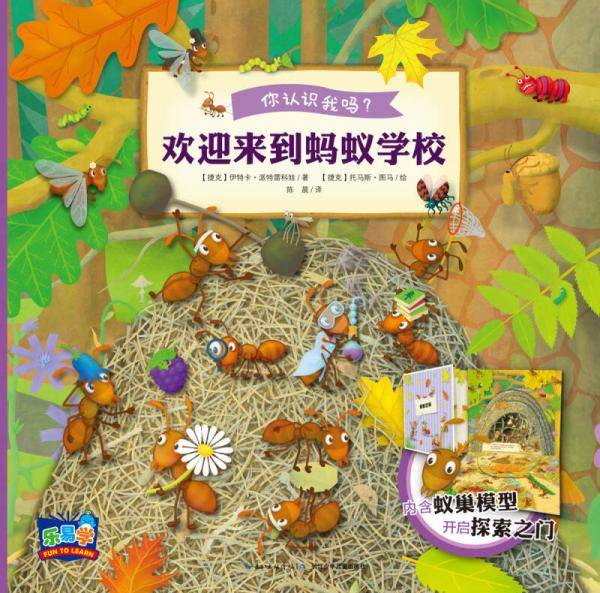 你认识我吗？ 欢迎来到蚂蚁学校