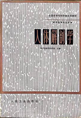 人体解剖学