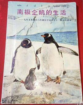 南极企鹅的生活