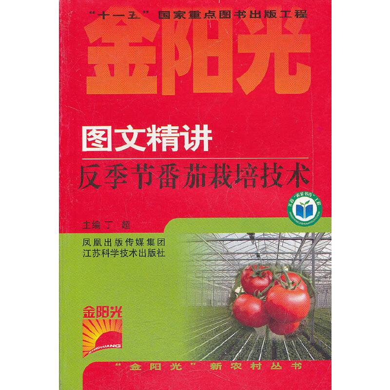 图文精讲反季节番茄栽培技术