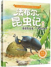 蒂菲粪金龟：家园守望者