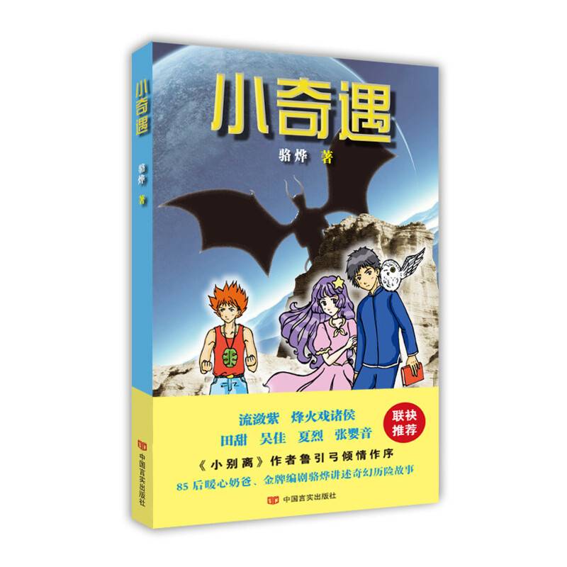 中国言实出版社 小奇遇