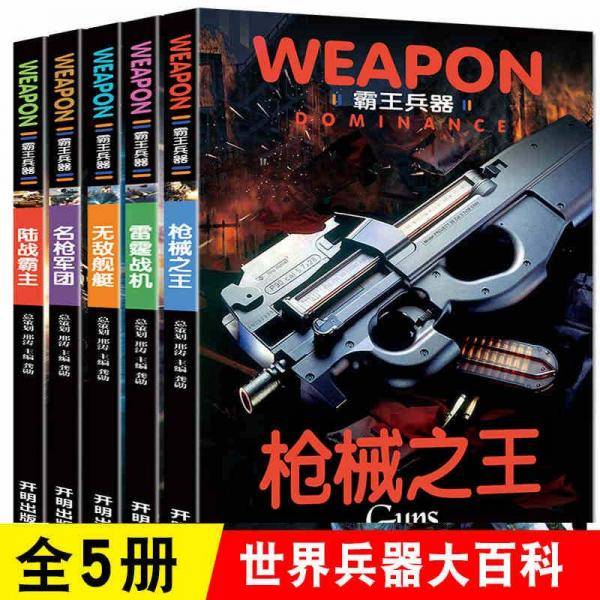 霸王兵器 无敌舰艇
