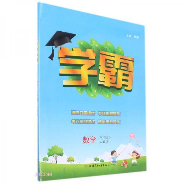 数学(6下人教版)/学霸