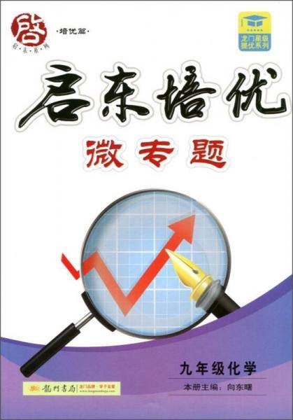 启东系列・启东培优微专题：九年级化学
