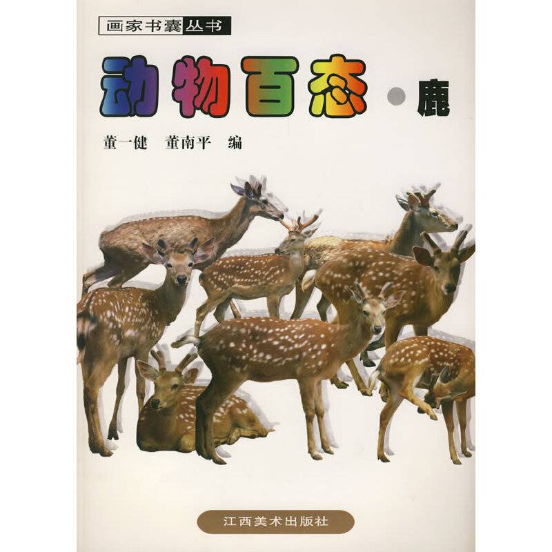 动物百态・鹿