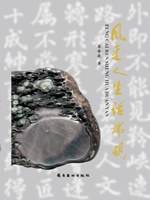 风采人生话端砚