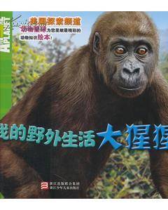 我的野外生活
