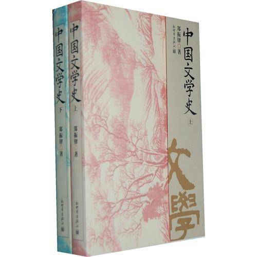 中国文学史（上下）