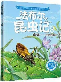 猎蝽：丑陋的屠夫