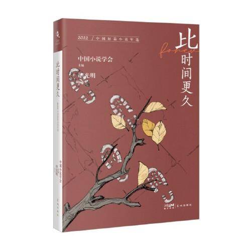 比时间更久：2022中国短篇小说年选