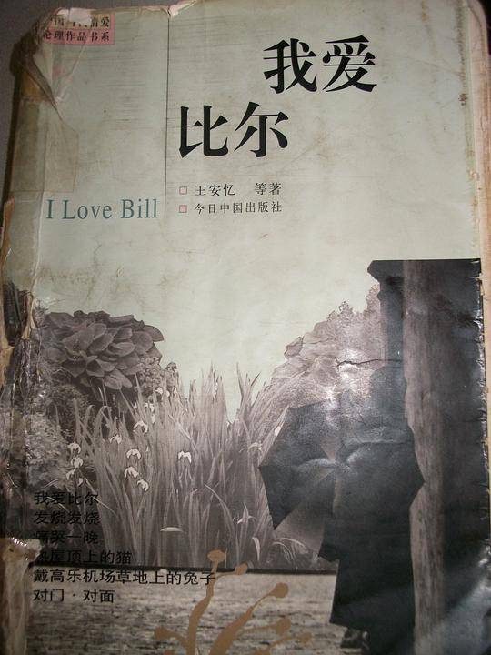 我爱比尔